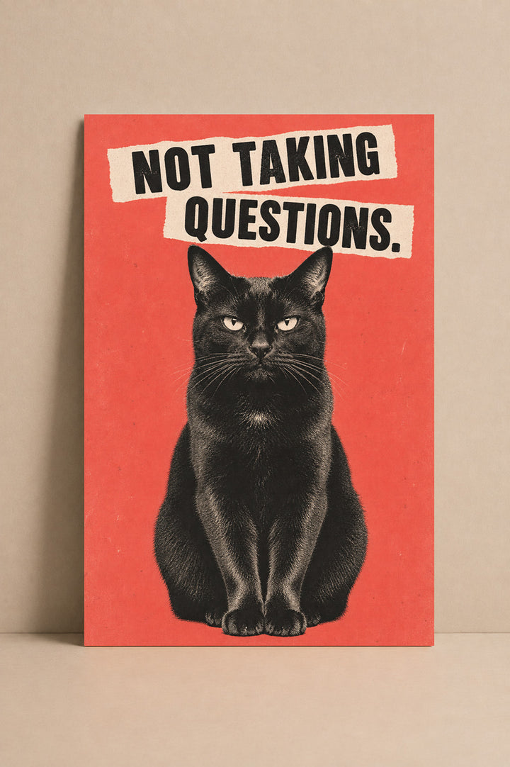 Not Taking Questions Art Print – Black Cat Wall Art